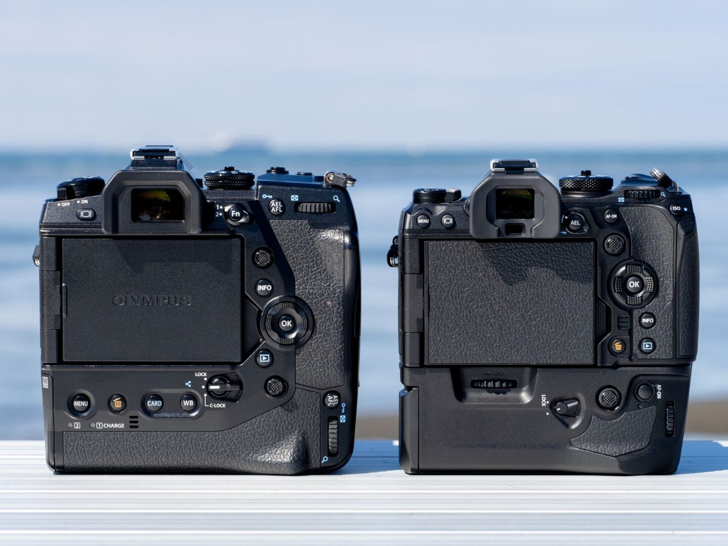 選ばない理由を探すことがとても難しい 最適解のミラーレス一眼｜OM