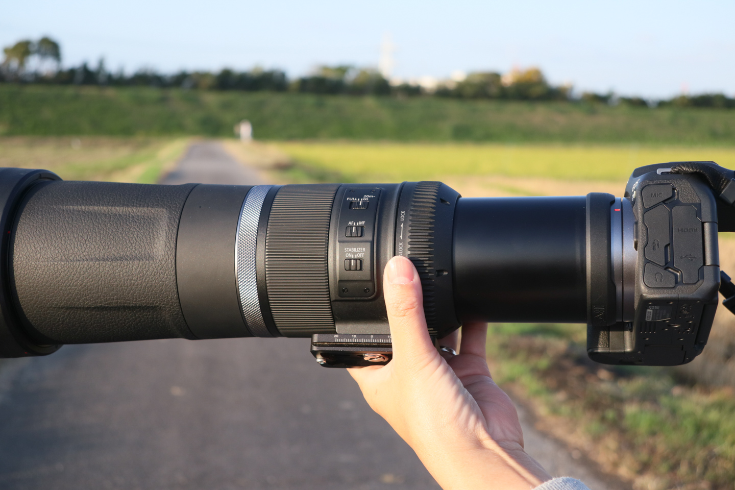 キヤノン RF600mm F11＆RF800mm F11 レビュー｜野鳥撮影に最適なお手軽