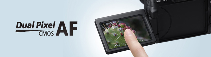 Canon[キヤノン] EOS 70D｜イチオシ!デジタルカメラ｜カメラのキタムラ