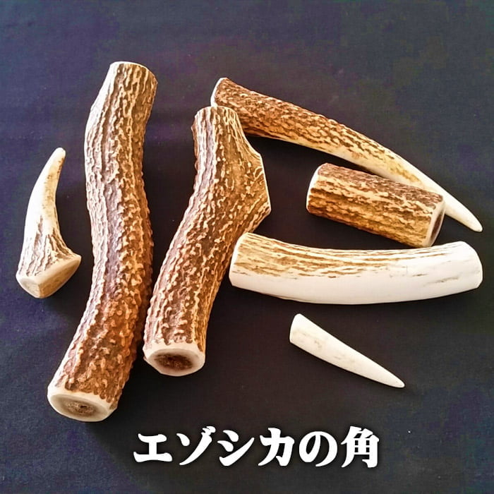鹿角】おまかせ 枝角 14cm〜16cm 用途自由 ペットおもちゃ