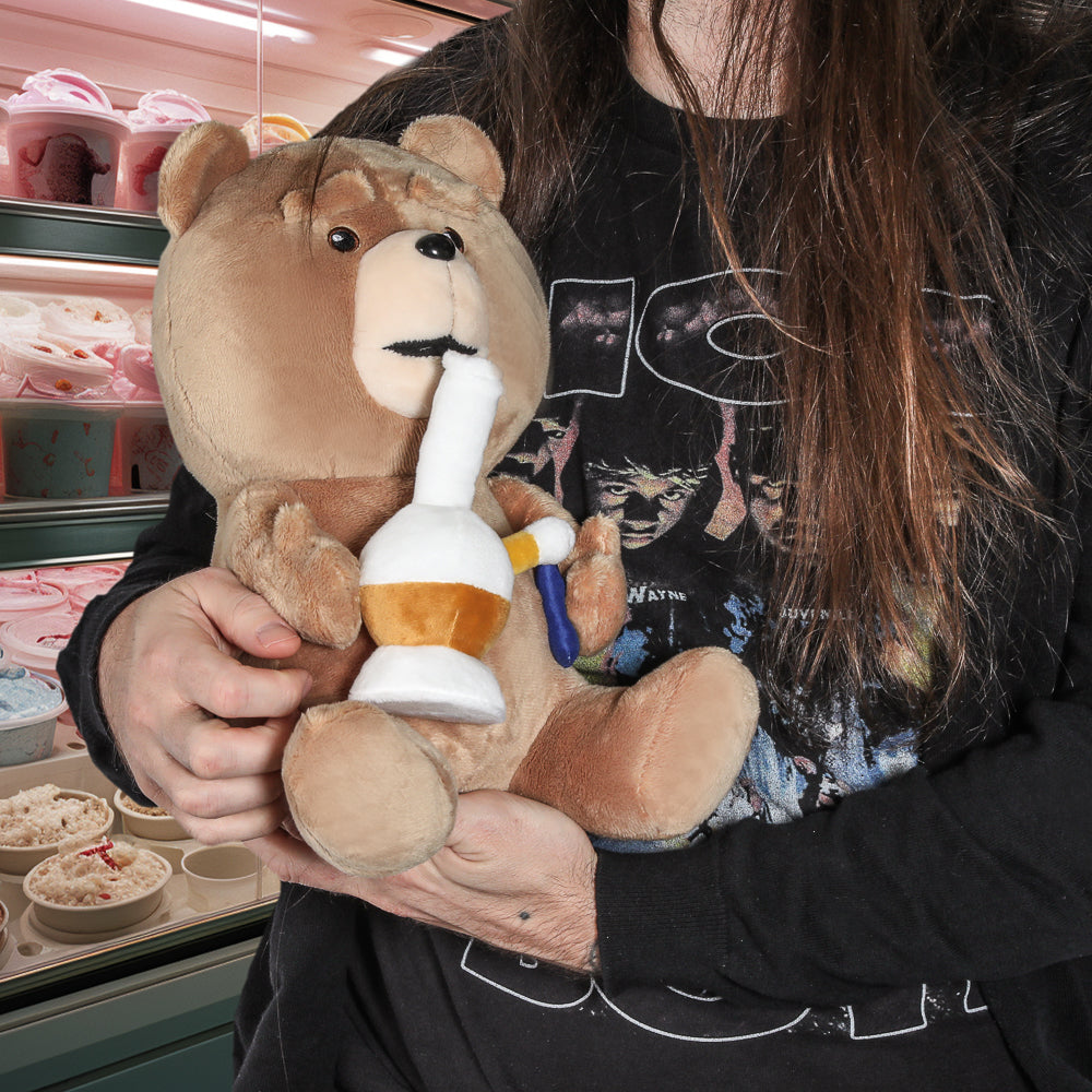 Ted (TV Show) 13” Plush with Sound by Kidrobot