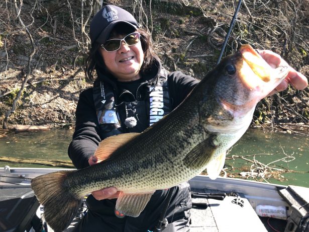 オライオンブラックローズ。菊元的解説。 | 菊元俊文.jp