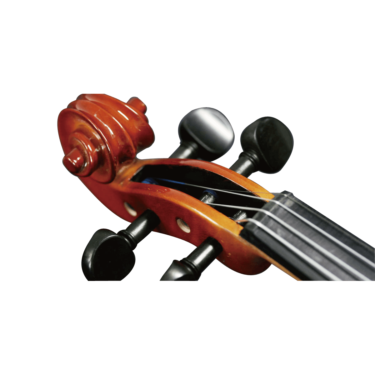 SVA-240 | キクタニミュージック