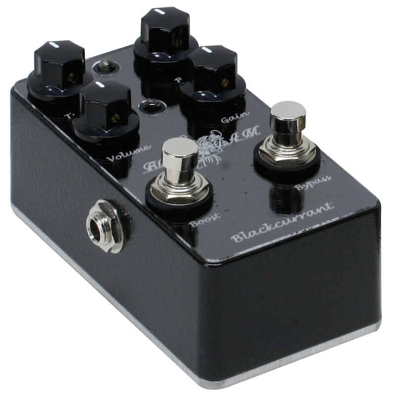 Blackcurrant | キクタニミュージック