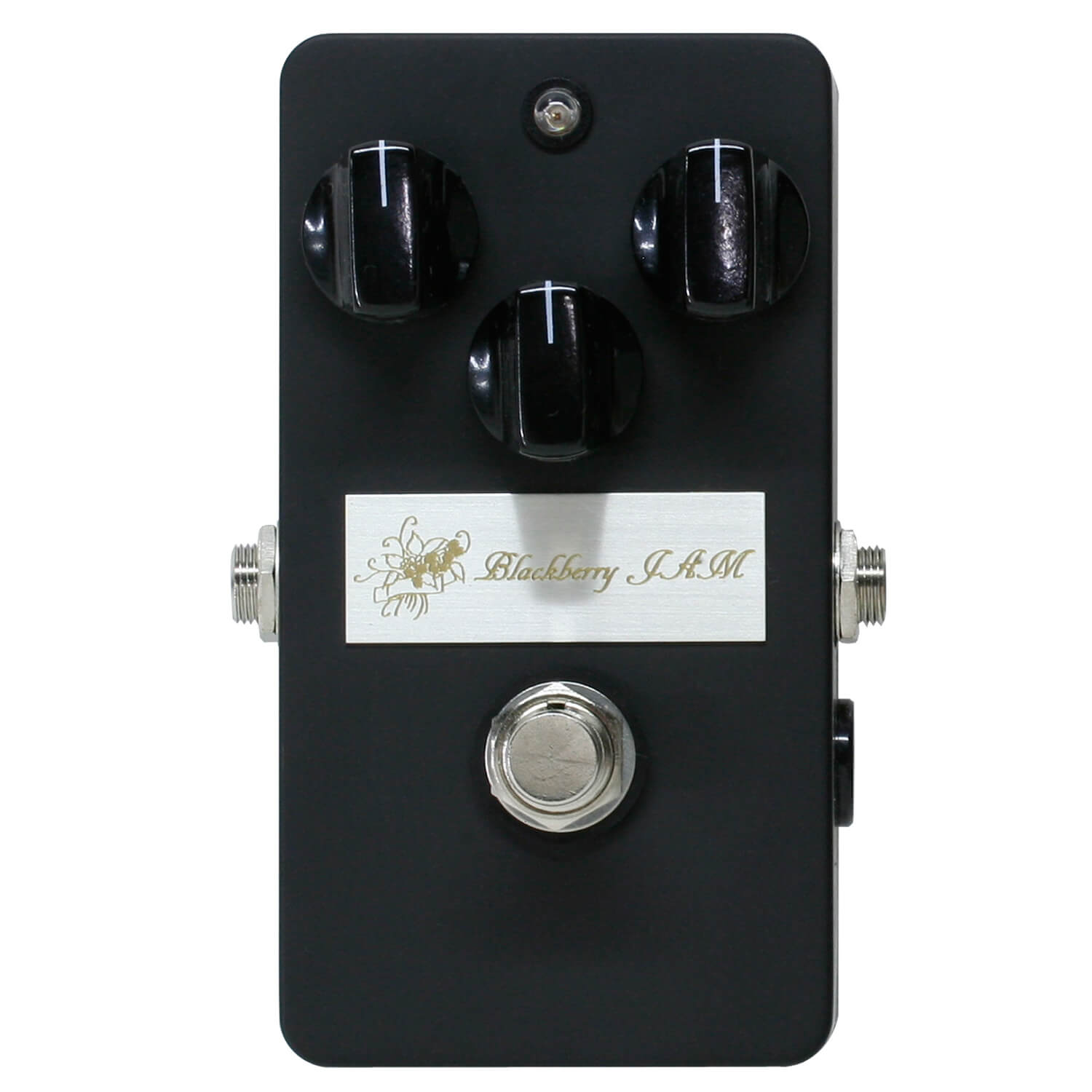 Blackberry | キクタニミュージック