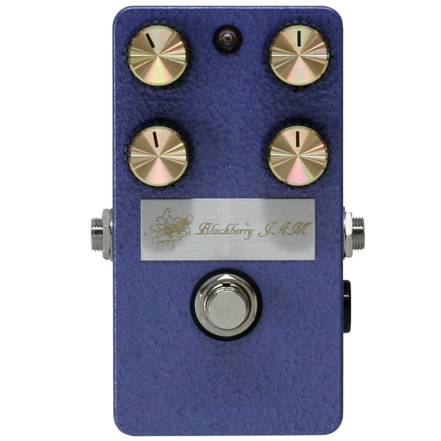 Dandelion | キクタニミュージック