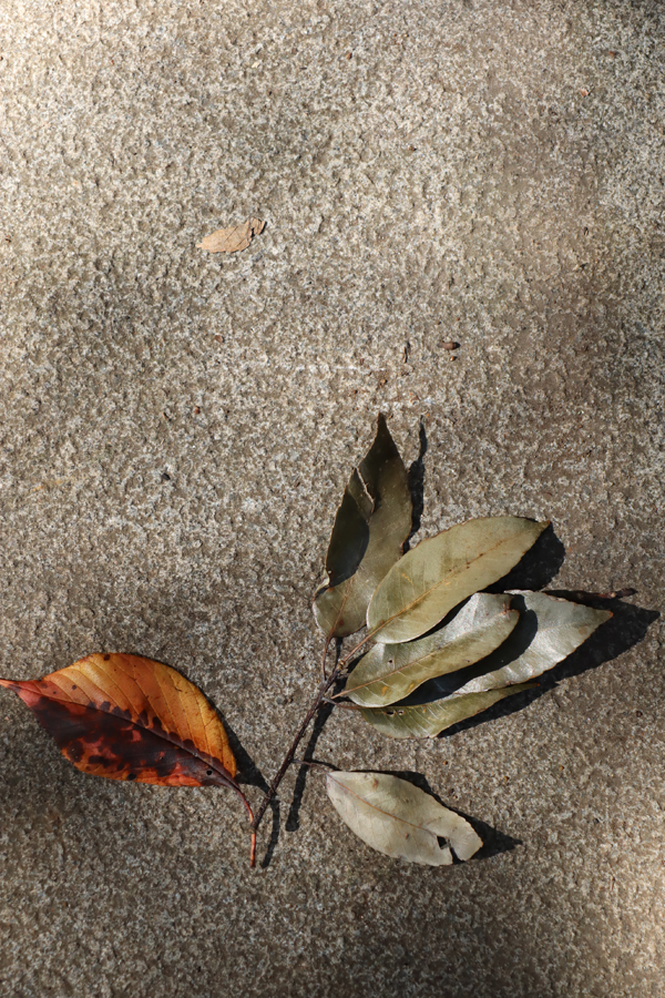 銀座【帯3262】貴久樹製 紬地袋帯 インド刺繍 更紗花文 – 銀座きもの青木