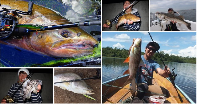 トランスセンデンス プルクラ62B 25 【シーバスルアー専門店 キング