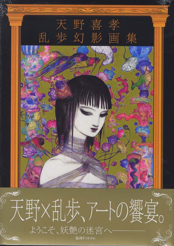 天野喜孝作品集 画集 図録 洋書 洋書・画集 天野喜孝作品集 AMANO 天野喜孝