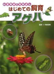 ダンゴムシ (いきものとなかよし はじめての飼育) ：今泉忠明 - 金の星社