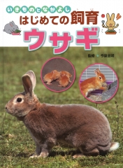 ダンゴムシ (いきものとなかよし はじめての飼育) ：今泉忠明 - 金の星社