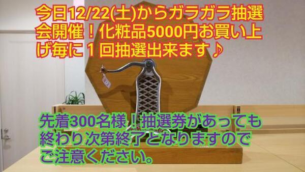 ディシラ EX オプティマセラム (F1・F2・M1・M2)｜紹介記事｜キレイエ