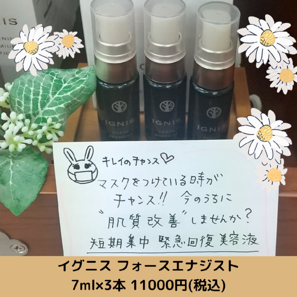イグニス フォース エナジスト｜紹介記事｜キレイエ