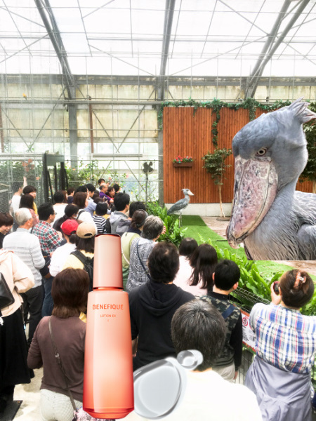 ベネフィーク ローションEX Ⅰ・Ⅱ・Ⅲ｜紹介記事｜キレイエ