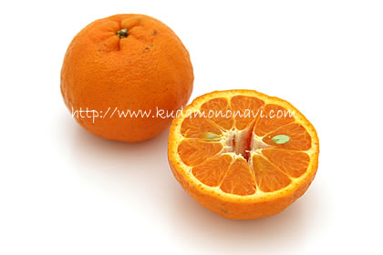 ポンカン ぽんかん ｜ カンキツ（その他柑橘類） 品種の特徴 食べ方 選び方