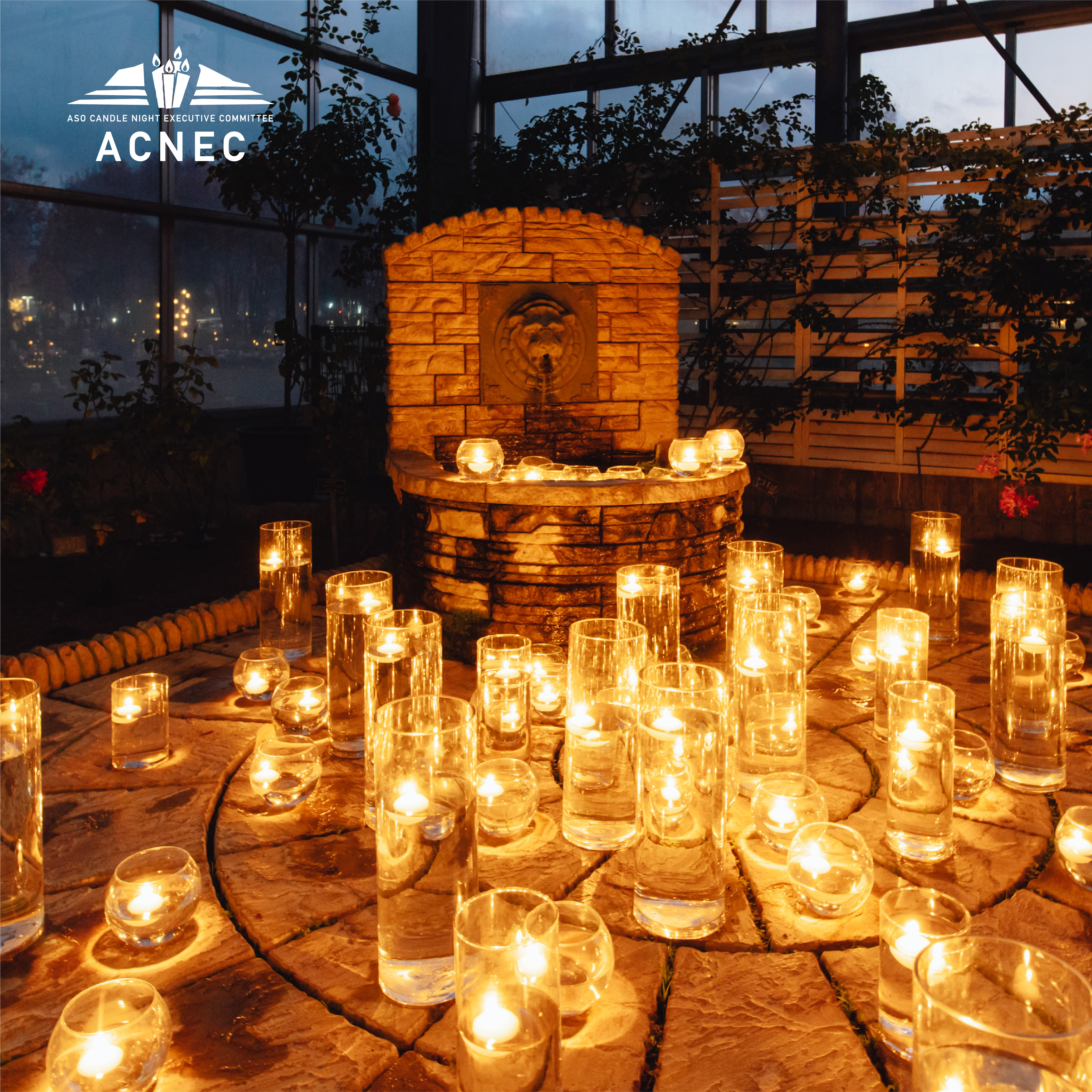 阿蘇キャンドルナイト ｜ 熊本フェリー｜長崎(島原・雲仙)と熊本を最短