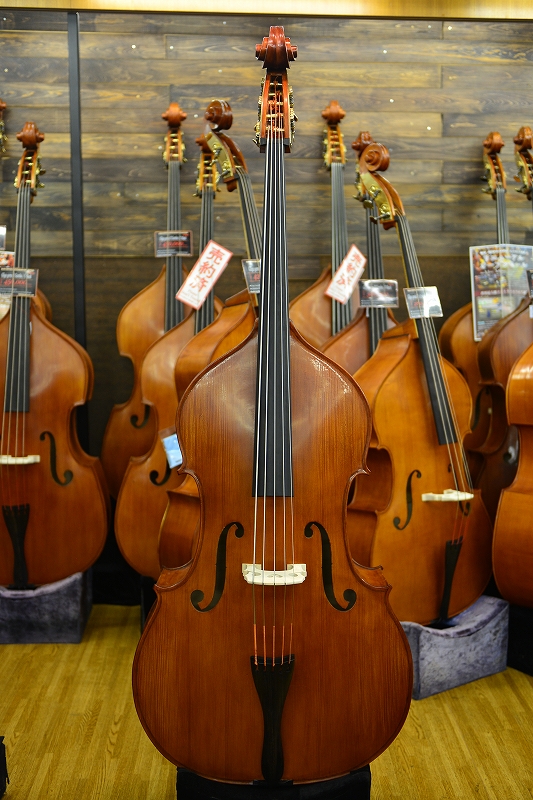 Gliga/グリガ コントラバス 紹介ページ【コントラバス本店