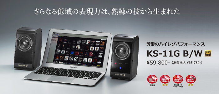 ワイヤレス・コンパクトオーディオ KS-11G （ペア） Wireless Compact