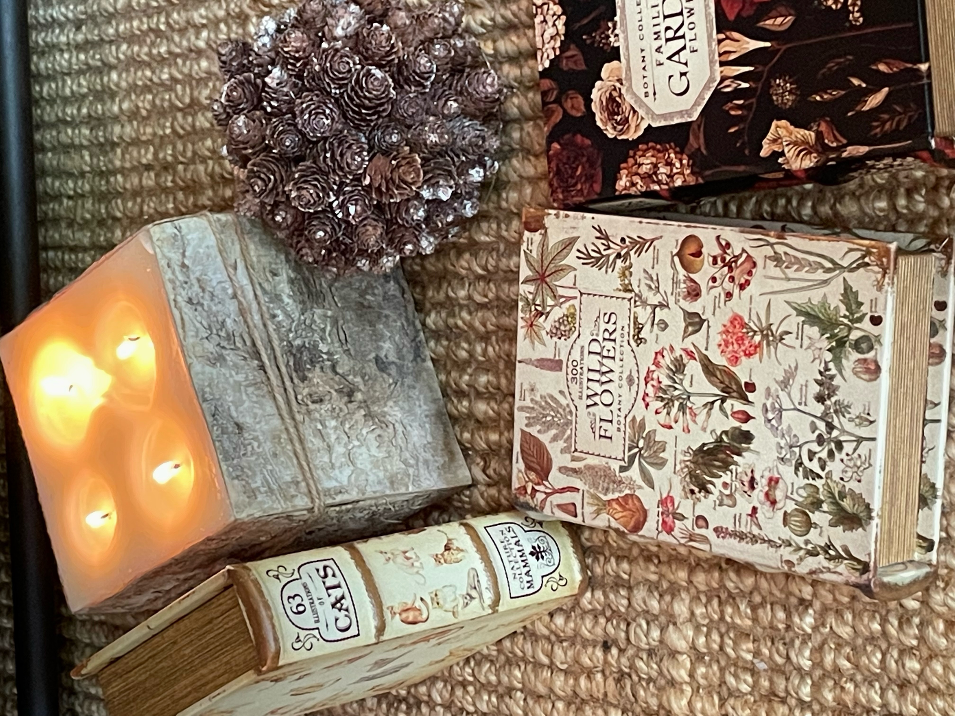 KEY STONE / アンティークルック エンプティブックボックス DOG