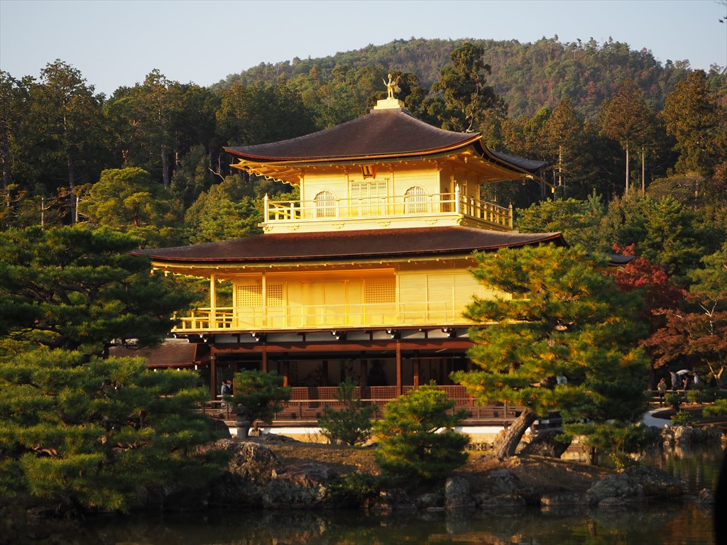 西日に輝く金閣と方丈の特別公開 | 京都旅屋