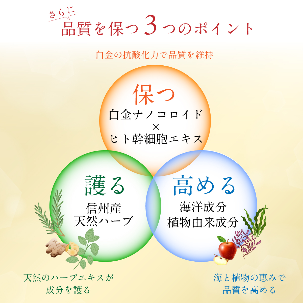 ヒト幹細胞 美容液 50ml 白金ナノ化 【送料無料】 / ことよりモール