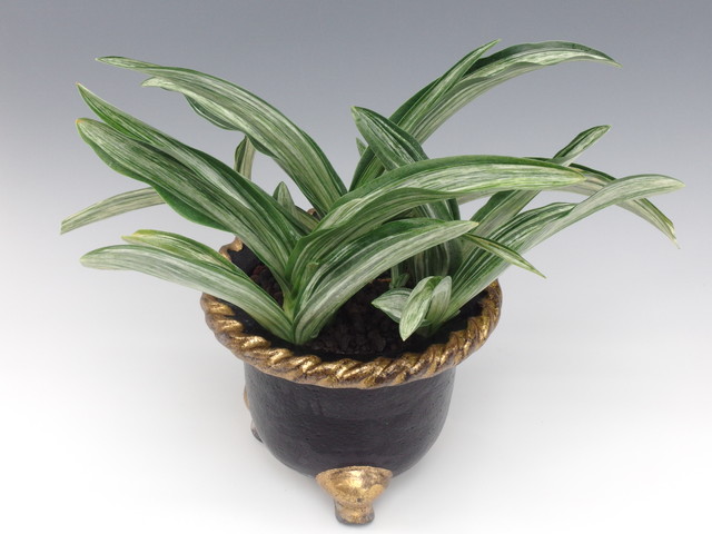 根岸の松 (ねぎしのまつ) Negishinomatsu – おもとの豊明園（ほうめい