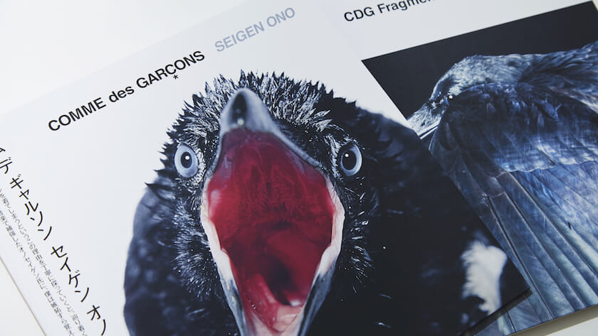 Comme des Garcons x Ono Seigen. The 30th anniversary album of that