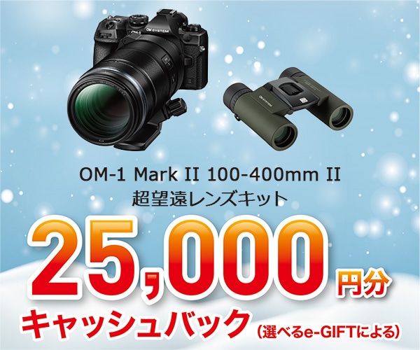 OM-1 Mark II 100-400mm II 超望遠レンズキット Hobby's World｜野鳥