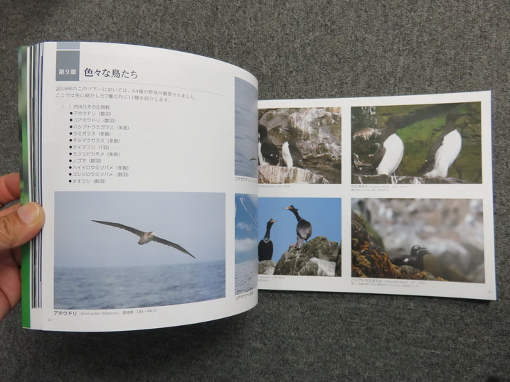 魅力的な鳥達と自然 ～千島列島～ Hobby's World｜野鳥撮影やバード