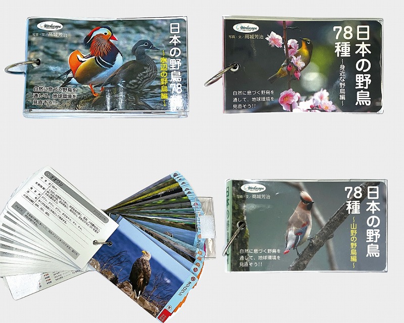 Birdscape オリジナルA4クリアファイル3種セット Hobby's World｜野鳥