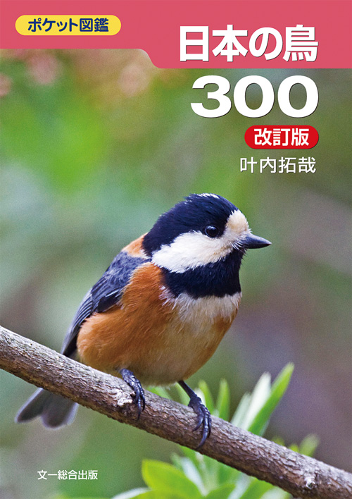 ポケット図鑑 日本の鳥300 改訂版 Hobby's World｜野鳥撮影やバード
