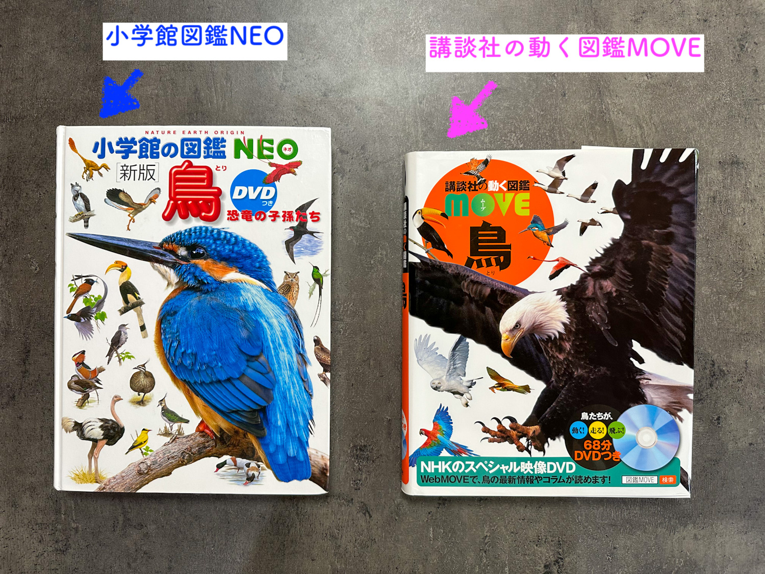 車で学ぶ子育て！オススメDVD付き図鑑【講談社MOVE編】 - おうちぷらす