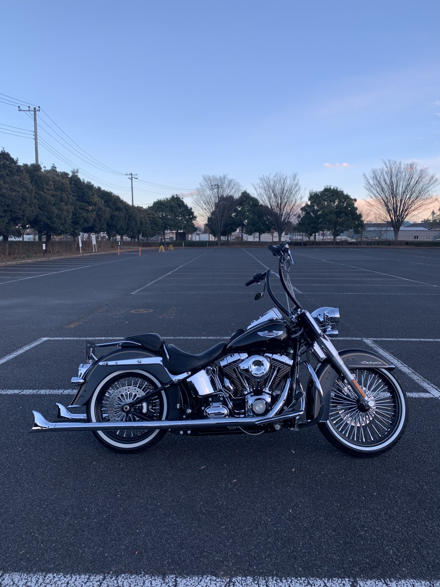 サムソン TRUE DUALS フィッシュテールマフラー(左右両出し