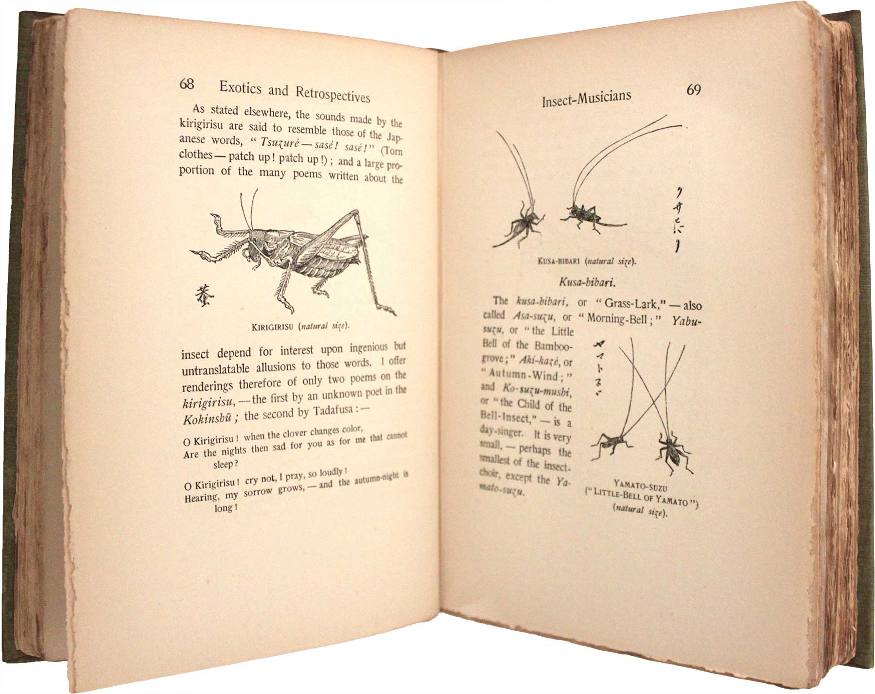 虫の詩 かそけきものの声音を愛す The Poetry of Insects—Loving the