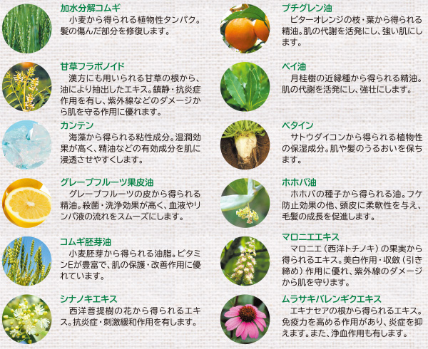 エルブジュールベーシックマンスリーセット エルブベーシック