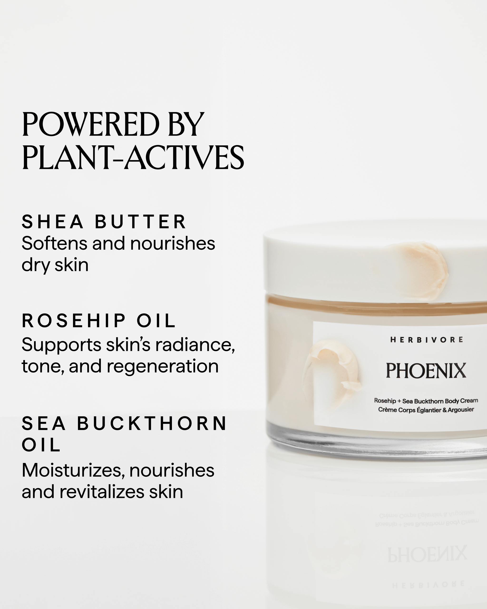 PHOENIX Rosehip + Sea Buckthorn Body Cream – Herbivore Botanicals