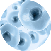 HERMOSA｜Derma THE FIRST