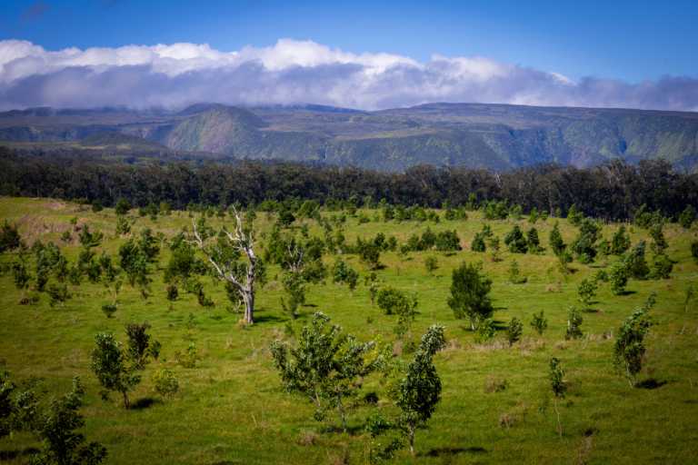 Rare, intimate photos of Prince in Hawaii - HAWAIʻI Magazine