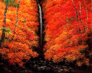 掛軸 奥田元宋 - 骨董品 買取り八光堂