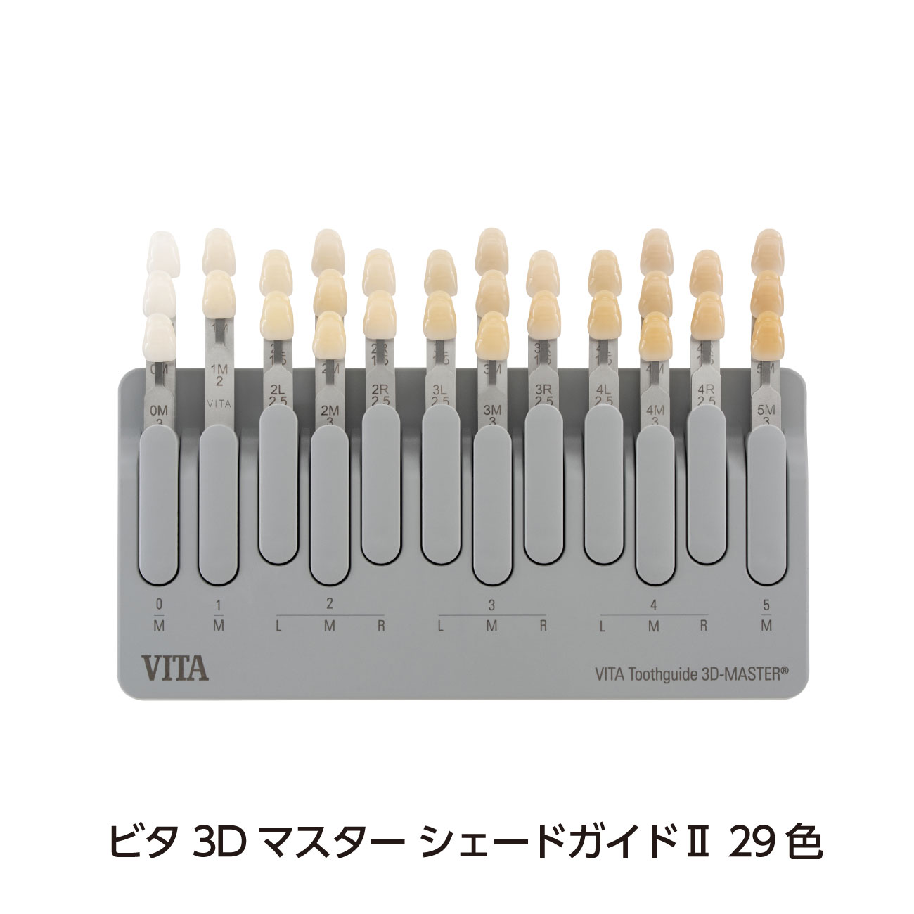 ビタ シェードガイド |