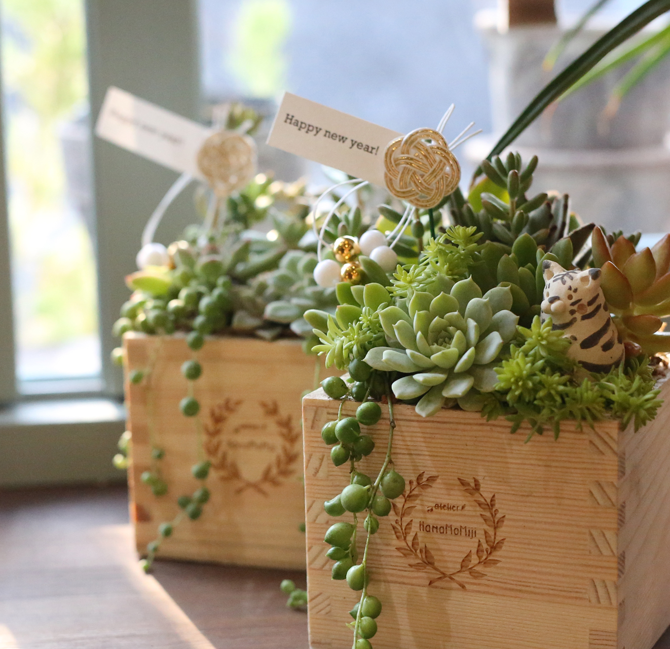 予約販売】自分で植える・干支人形つき多肉植物の苗セット（植え方動画