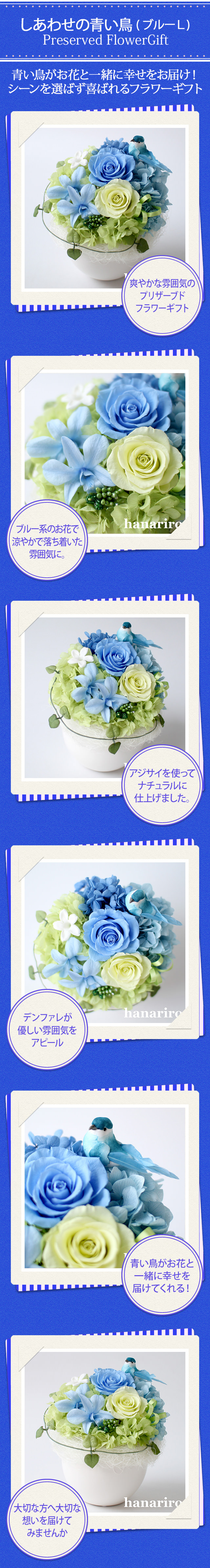 しあわせの青い鳥（ブルーL）/プリザーブドフラワー プリザーブド