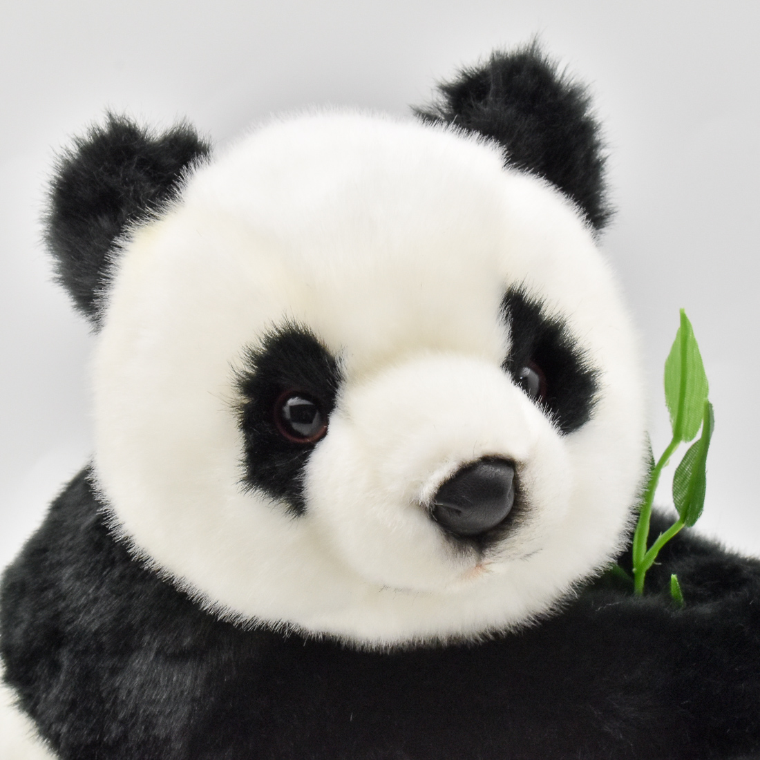 ジャイアントパンダ 33 | HANSA