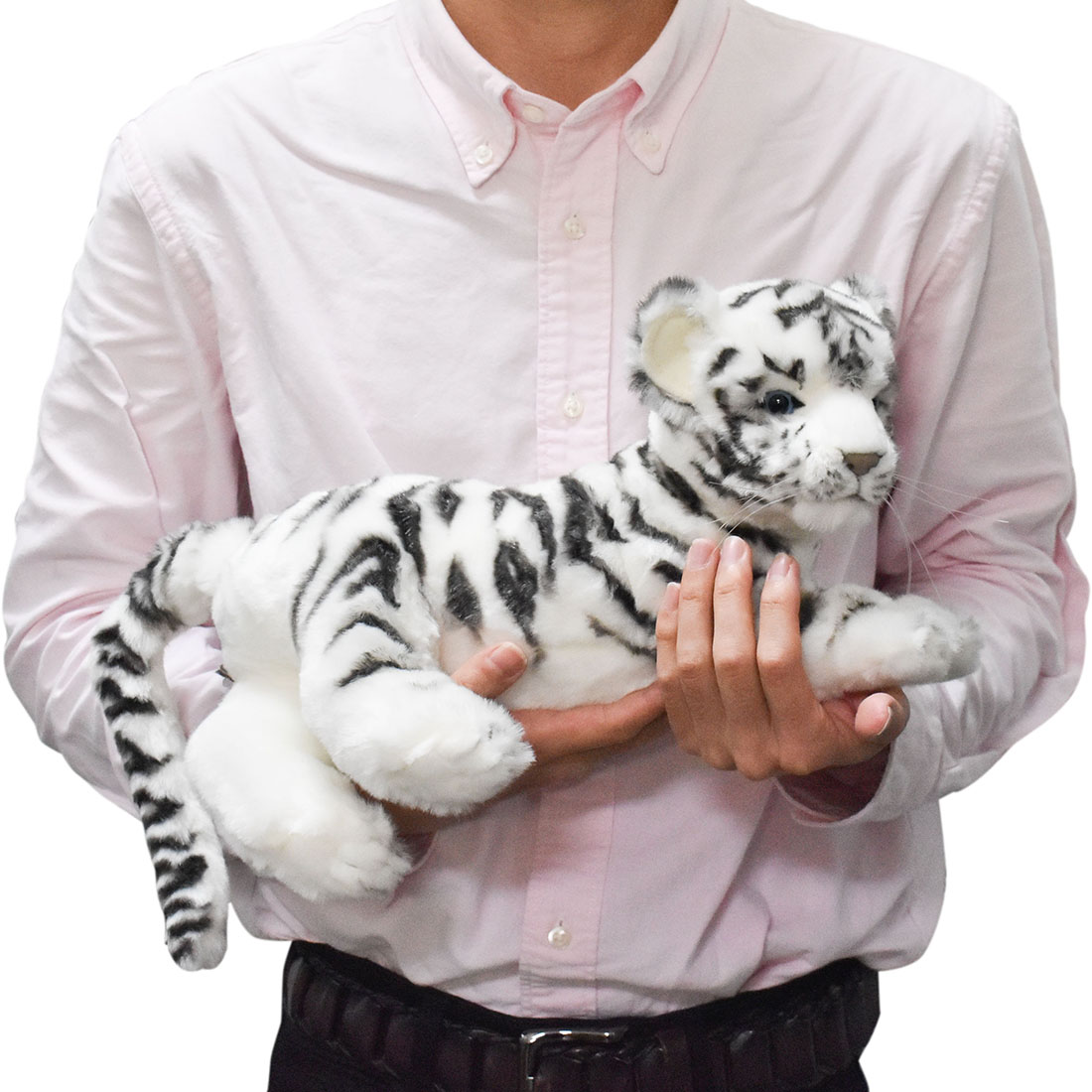 ホワイトタイガー(仔) 42 | HANSA