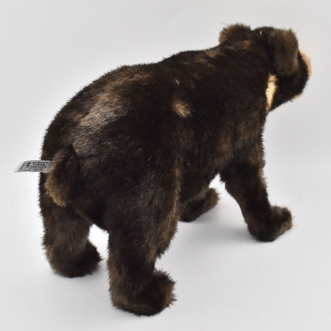 マレーグマ 40 | HANSA