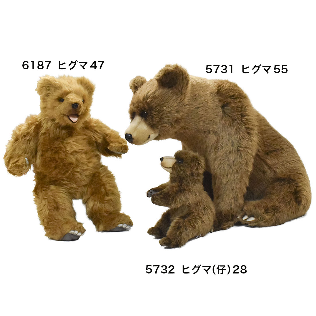 ヒグマ 55 | HANSA