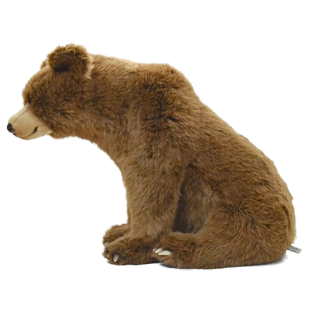 ヒグマ 55 | HANSA