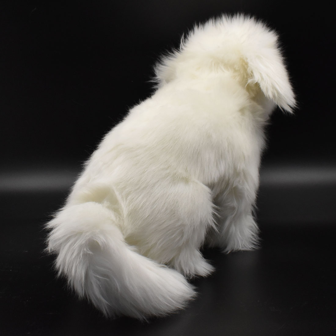 シーズー 30 | HANSA