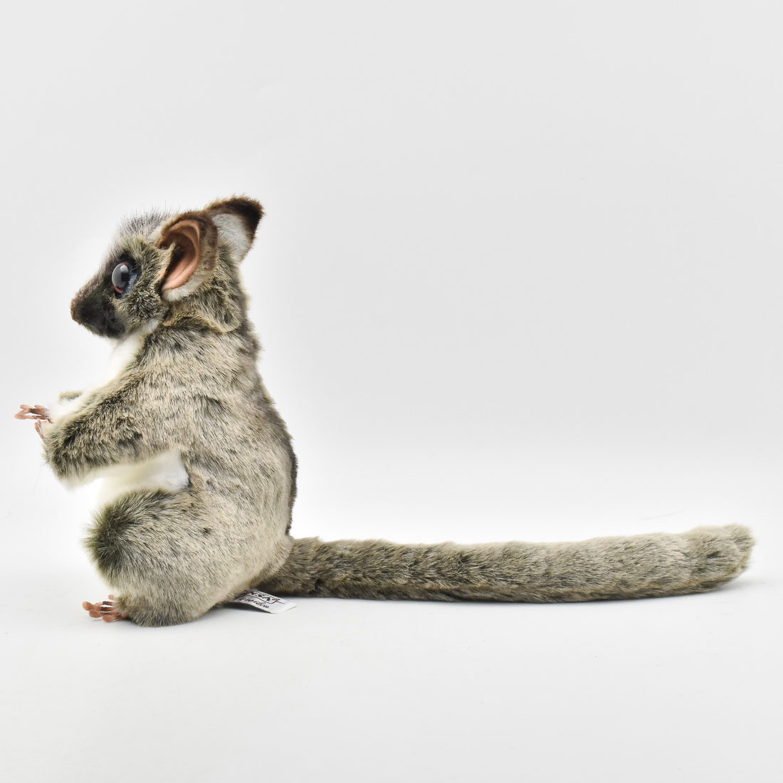 フクロモモンガ 22 | HANSA