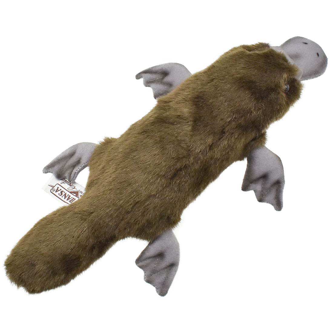 カモノハシ 29 | HANSA